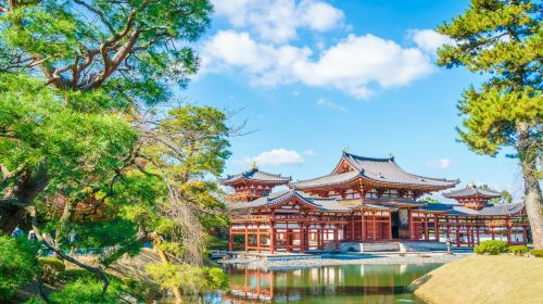 Nara Park Day Tours