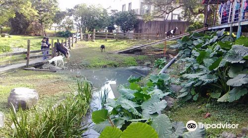 E-Long Goat Farm