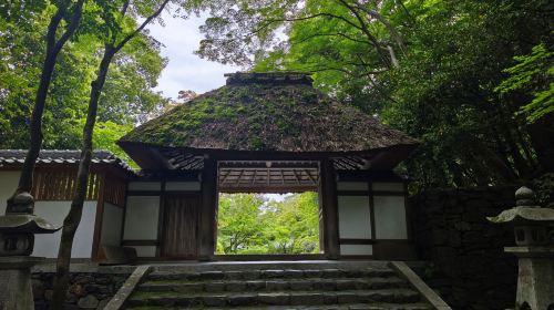Escape the crowds: Kyoto scenery electric bikes tour