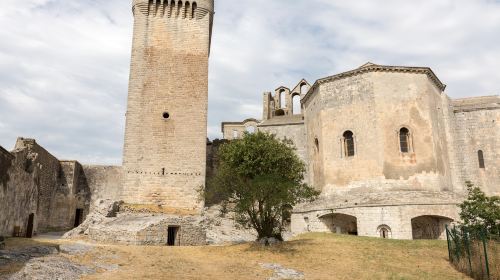 Abbaye de Montmajour