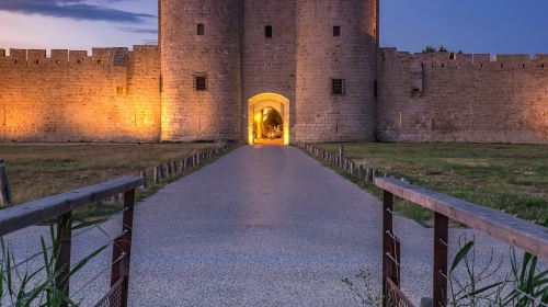 Tours et Remparts d'Aigues-Mortes: Entry Ticket Adult