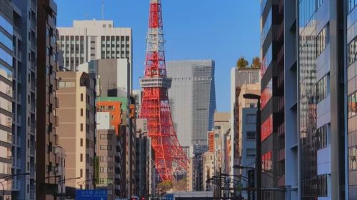 1-day tour in Tokyo to Shinjuku Gyoen National Garden, Ueno Park, Sensō-ji and Akihabara