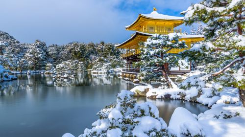Kyoto in a Day: The Ultimate Top 4 Highlights Tour (From Osaka/Kyoto) Day Tours