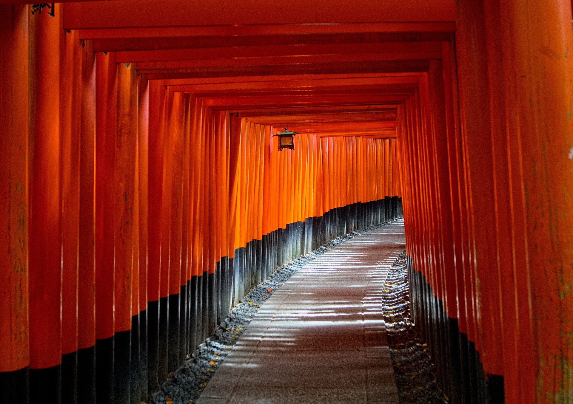 Japan Wonders: 10-Day Journey