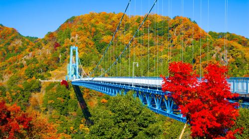 Ibaraki Autumn Special – Hitachi Seaside Park
