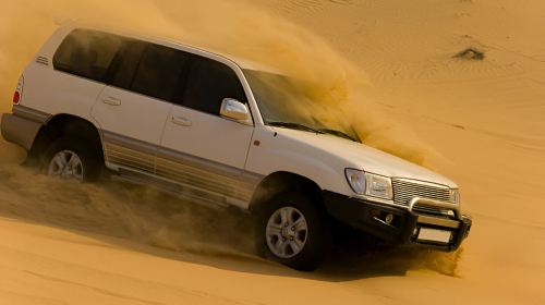 Self-Arrival Desert Safari with Falcon Photo Day Tours