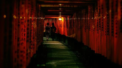 Kyoto Fushimi-Inari Night Walking Tour Day Tours