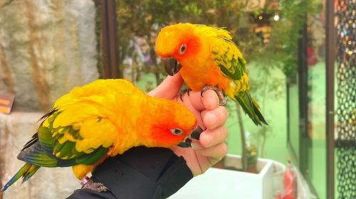 Lanyang Animal and Plant Kingdom