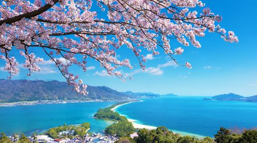 Kyoto's Seaside Day Tour: Amanohashidate & Ine Funaya