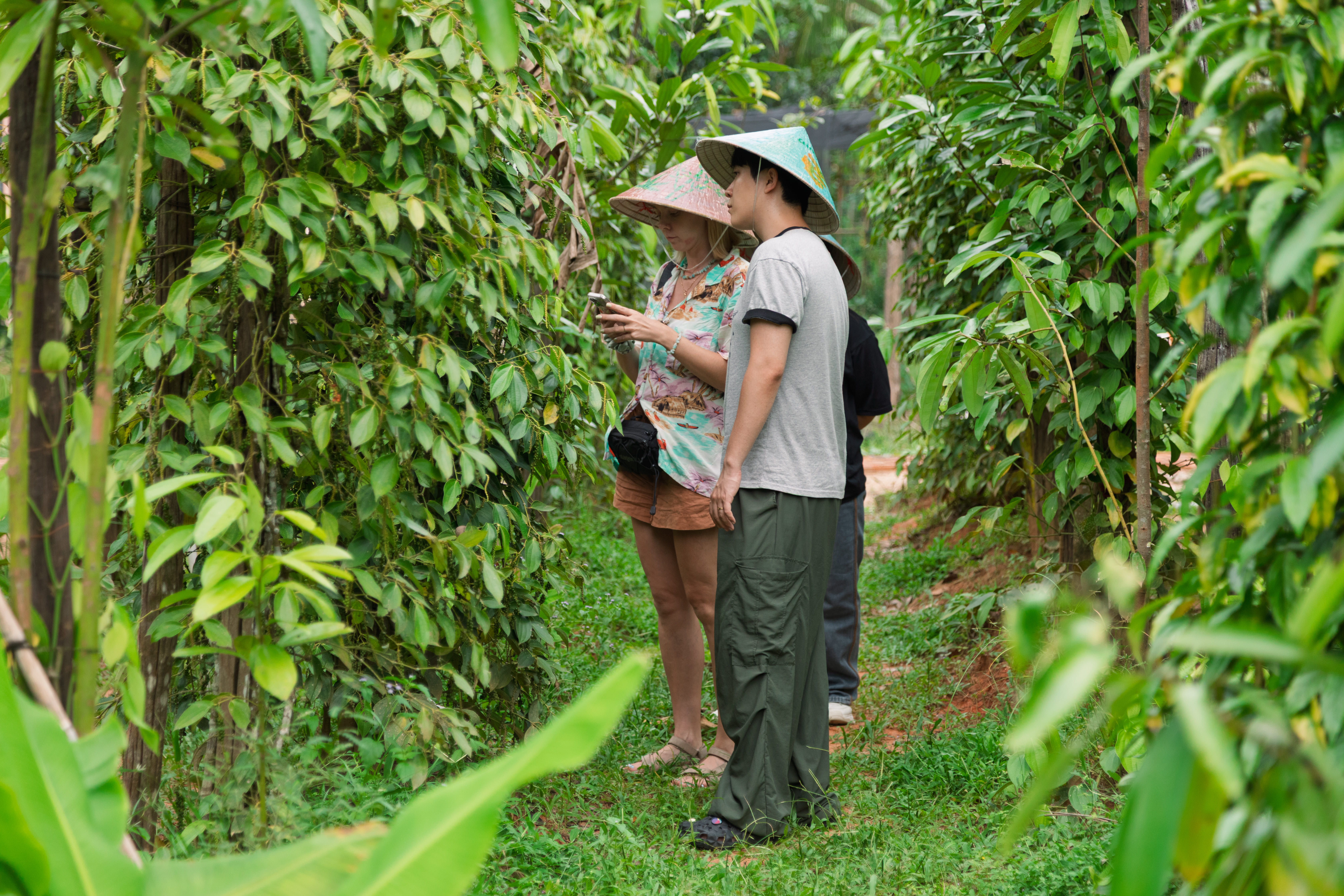 Phu Quoc Only Private Experience Tour - Pepper Farm, Cooking Class, Local Food & Basket Boat