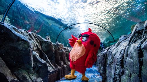 Madame Tussauds Sydney