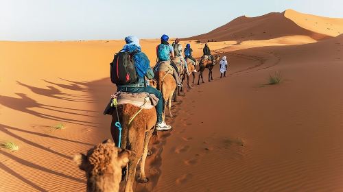 Vip Sunset Evening Safari Dubai: Camel Ride, Shows & BBQ Dinner Day Tours