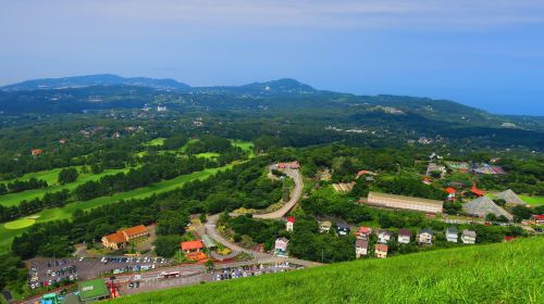 Tokyo 1-day tour to Mt. Omuro + Jogasaki Coast + Ito Marine Town, including free cable car ride at Mt. Omuro