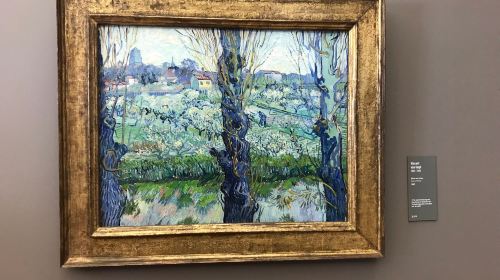 Alte Pinakothek