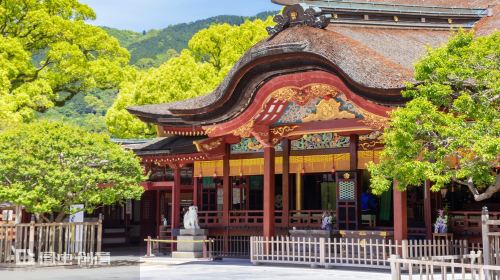 Kyushu Hot Spring Hidden Gems Tour | Beppu + Yufuin Healing Day Trip
