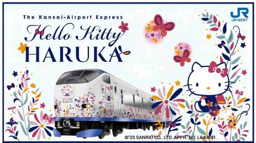 JR HARUKA Kansai Airport limited express ticket (physical ticket [requires redemption]) Transport Passes