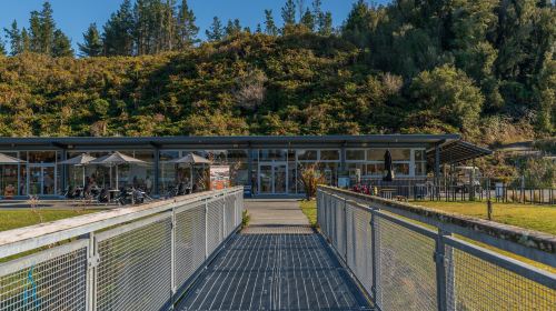 Westcoast Treetop Walk & Tower Zipline