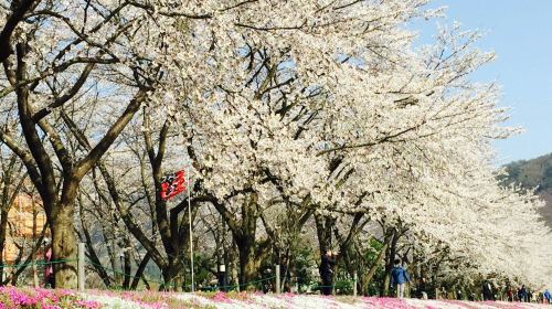 Mount Fuji, Oshino Hakkai & Gotemba Premium Outlets: Guided Bus Tour from Tokyo