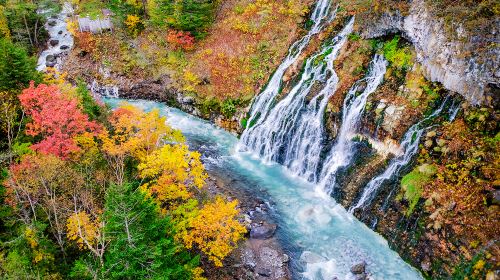 1-Day Flower Viewing Tour from Sapporo: Biei, Shikisai-no-Oka & Shirogane Blue Pond