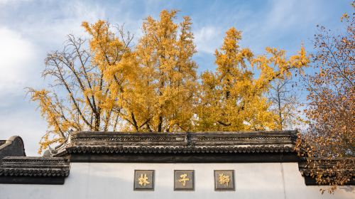 Lion Grove Garden(Shizilin Garden)