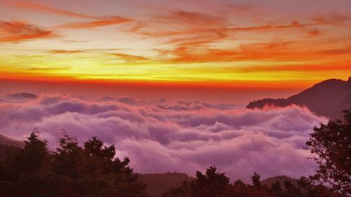 Chiayi: Alishan Day Tour (Departing from Taichung/Chiayi/Kaohsiung) Day Tours