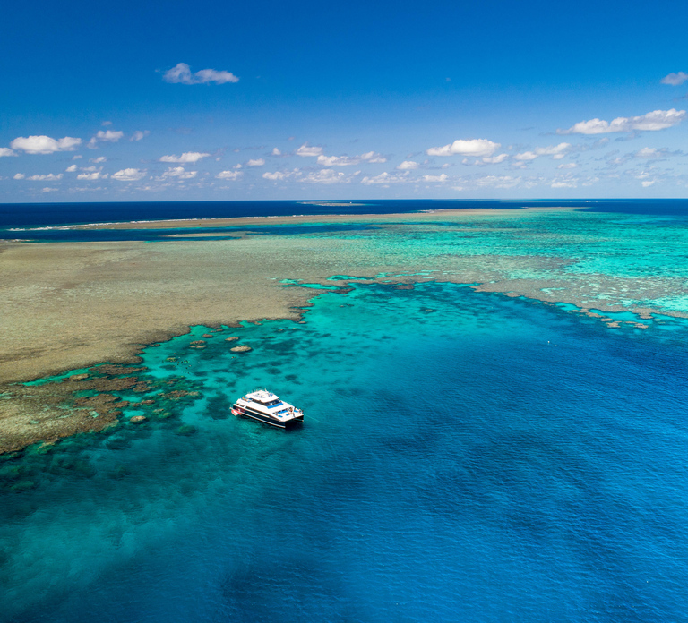 Port Douglas: Outer Barrier Reef Snorkel and Dive Options