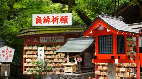 Kyoto: Arashiyama Bamboo Forest & Tenryuji Temple Day Tours