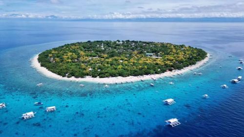 Bohol Island Dolphin Watching & Balicasag Island Snorkeling & Loboc River & Chocolate Hills & Tarsier & Butterfly Garden