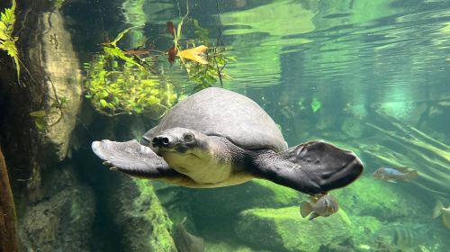 Loebbecke-Museum und Aquazoo
