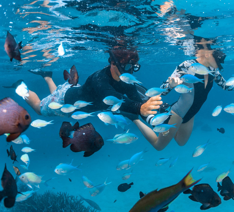 Perth: 7 Day Exmouth Explorer & Ningaloo Reef Return Perth