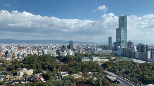 Private Tour: Discover the Best of Osaka with a Local Guide Day Tours