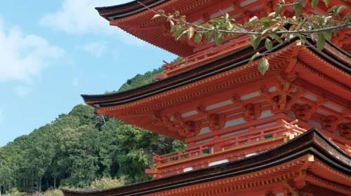 Kiyomizu-dera Temple, Fushimi Inari Taisha and Tōdai-ji in Kyoto and Nara