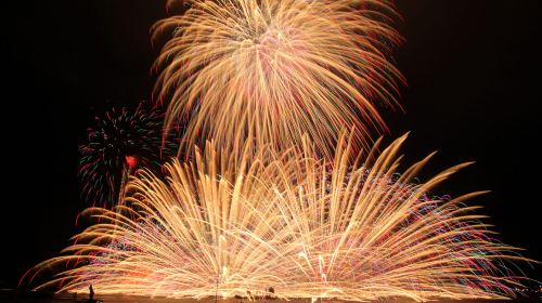 [Guaranteed Departure] 78th Lake Suwa Festival Fireworks Display (Suwa Lake Fireworks) with Central Area Admission Ticket | Day Trip with Return Night Bus | Departing from Shinjuku Station Day Tours