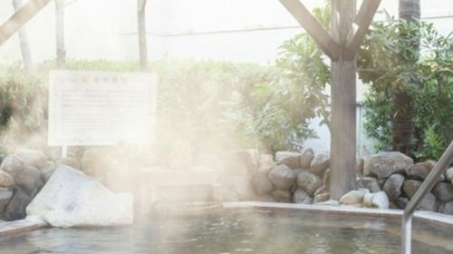 Naniwanoyu Natural Spa