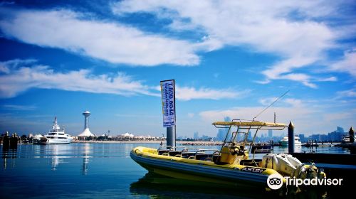 The Yellow Boats