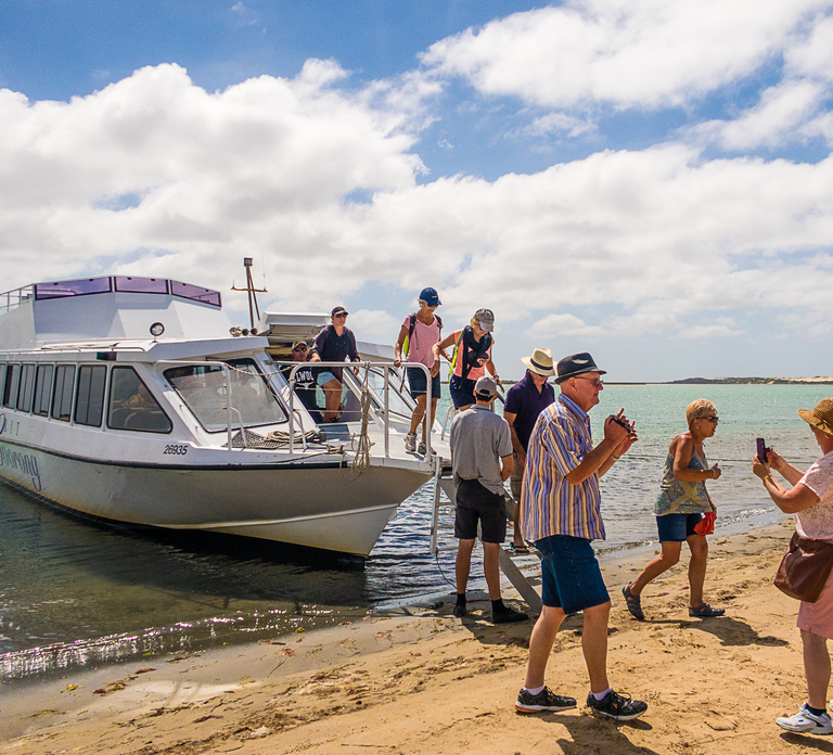 From Goolwa: Half-Day Coorong Experience