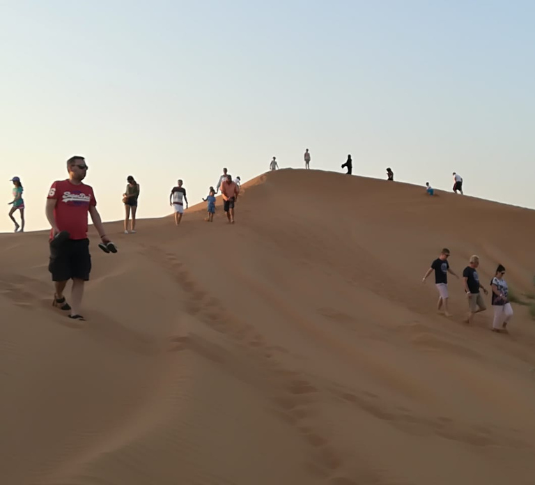 Ras Al Khaimah: Half-Day Desert Safari with Dinner