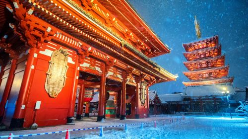 Tokyo private charter day tour with hotel pick-up – Licensed green-plate vehicles with English/Chinese-speaking drivers