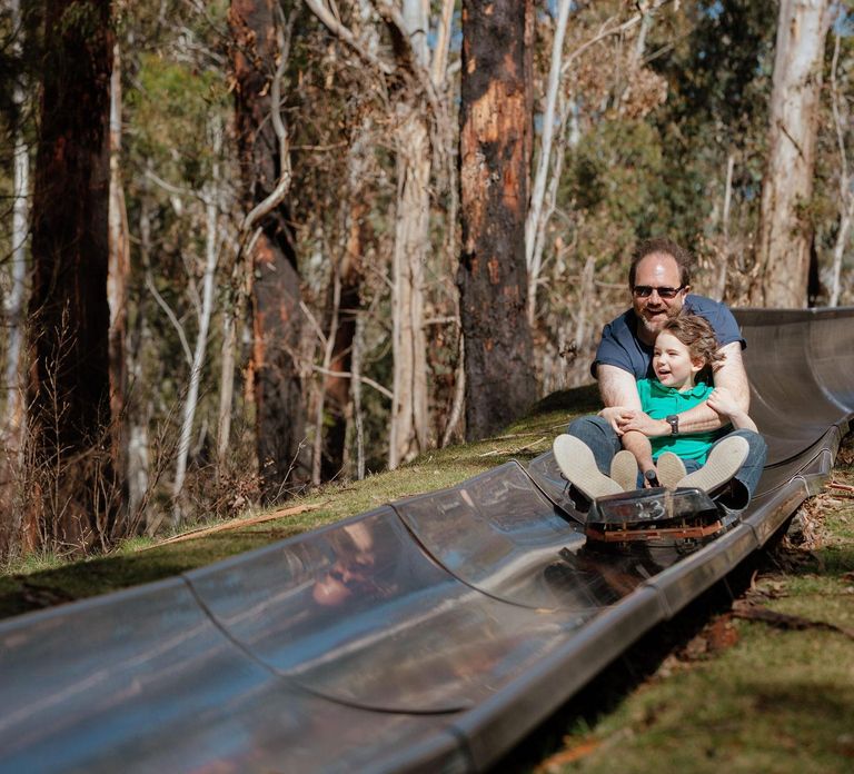 Corin Forest: Alpine Slide Ticket