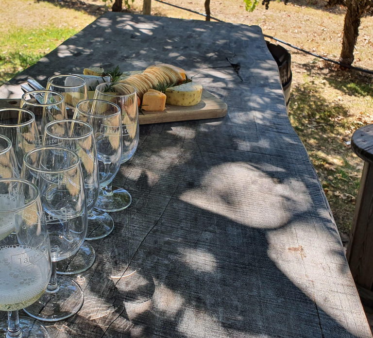 Swan Valley: Full-Day Wine Tour with Lunch
