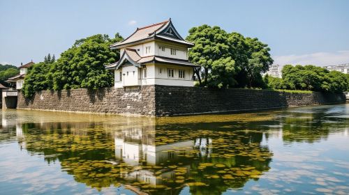 From Yokohama Port: Private 10-Hour Tokyo Charter Tour
