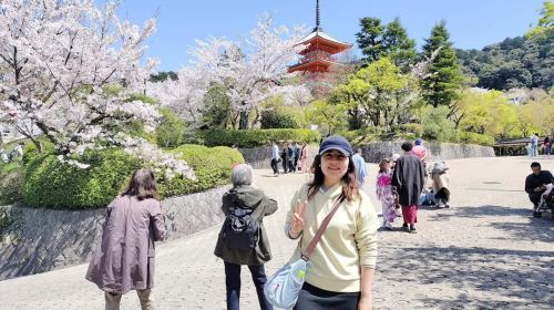 Kyoto: private and customized tour (walking/public transportation) Day Tours