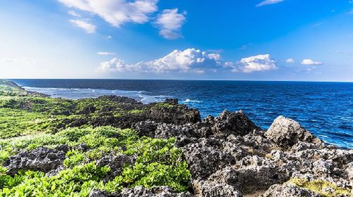 Okinawa Hip-Hop Bus C Course Tour to Northern Island Day Tours