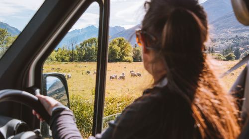 Queenstown Glenorchy & Paradise Scenic Tour – Middle-earth Filming Locations