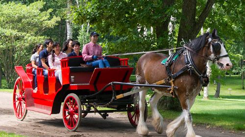 Limited Hokkaido summer: Fireworks festival & Japan midsummer festival departure from Sapporo to dance with locals Day Tours
