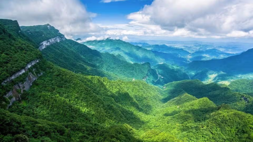 Chongqing Jinfo Mountain: Exploring Ancient Forests and Rare Plants