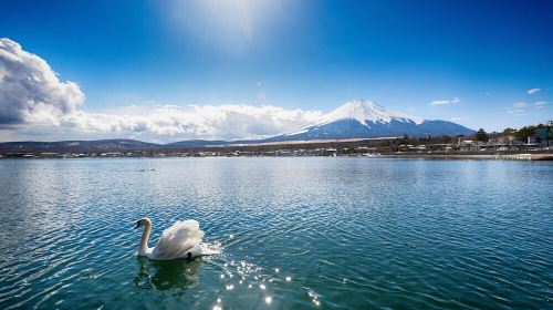 Small group for 9 people - 1-day tour to Mount Fuji and premium outlets Day Tours