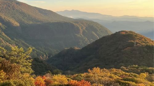 Japan Tokyo Toshogu Shrine + Irohazaka Winding Road + Lake Chūzenji + Kegon Waterfalls 1-day tour