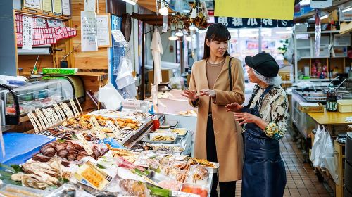 Port Pick-Up: Niigata Private Tour Licensed Guide& Vehicle Day Tours
