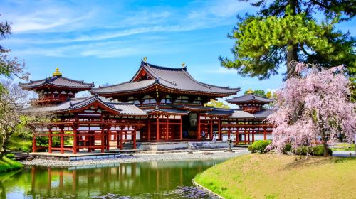 Nara Kyoto Twin Cities Pilgrimage 1-day Tour: Nara Park + Fushimi Inari Taisha + Byodo-in Temple Day Tours